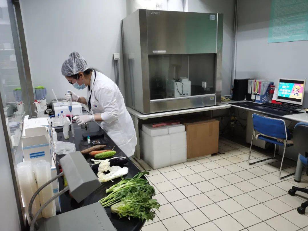 五桂山街道食品检测实验室装修方案